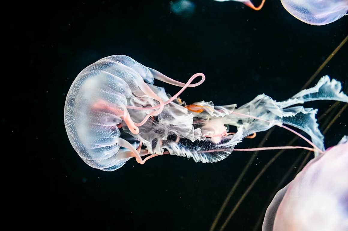 Everything You Need to Turn Data into Science